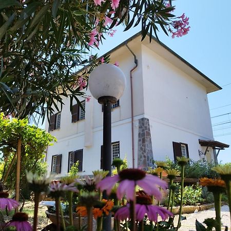 Bed and Breakfast La Domus Di Cosa Ansedónia Exteriér fotografie