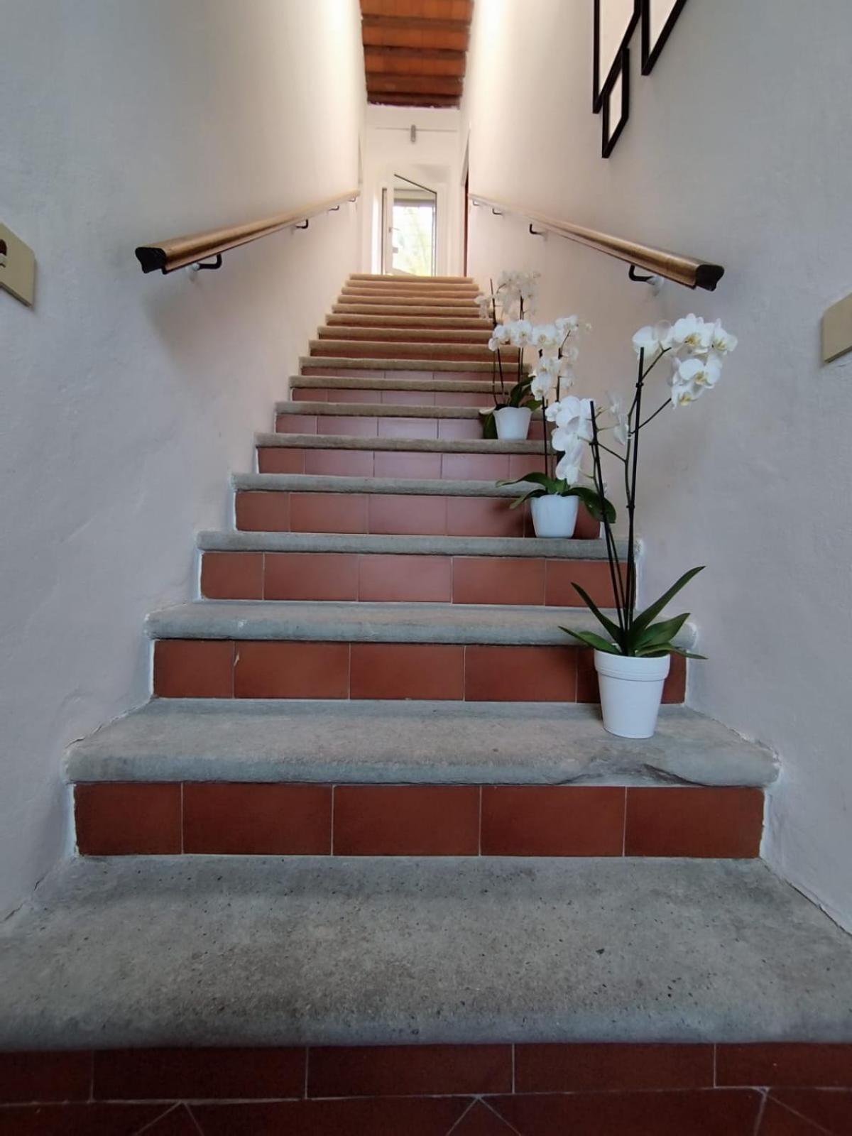 Bed and Breakfast La Domus Di Cosa Ansedónia Exteriér fotografie
