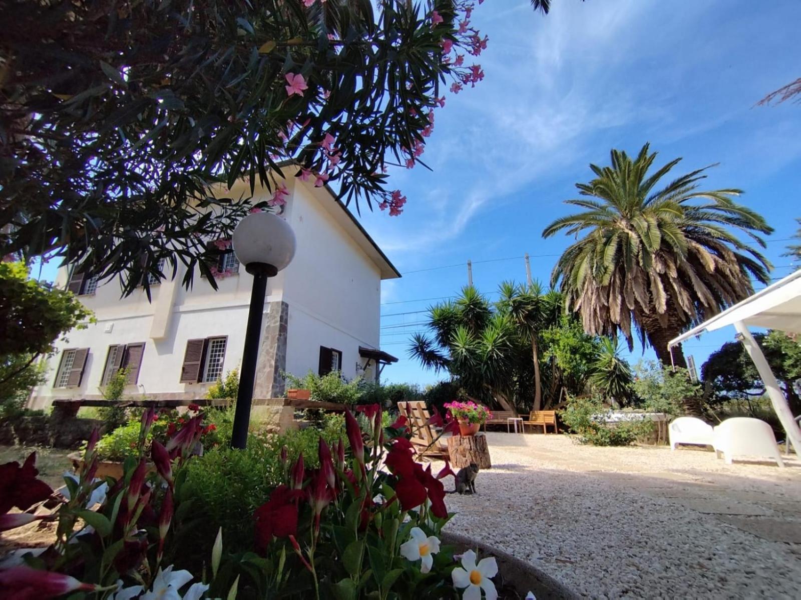 Bed and Breakfast La Domus Di Cosa Ansedónia Exteriér fotografie